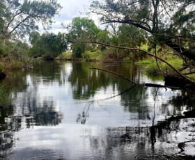 Rural / Farming commercial property for sale at 557 Pindari Dam Road Ashford NSW 2361