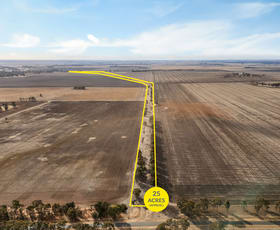 Rural / Farming commercial property for sale at Wimmera Highway Bolangum Inn Road Marnoo VIC 3387