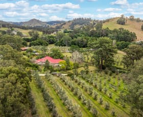 Rural / Farming commercial property for sale at Lot 123 Chichester Dam Road Dungog NSW 2420