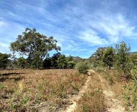 Rural / Farming commercial property for sale at 150 Reedy Creek Road Rylstone NSW 2849