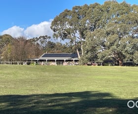 Rural / Farming commercial property sold at 201 Pages Flat Road Pages Flat SA 5172