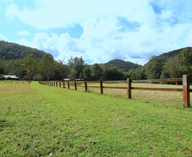 Rural / Farming commercial property for sale at 11 Kingtree Lane Cedar Brush Creek NSW 2259
