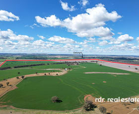 Rural / Farming commercial property for sale at 137 Gragin Rd Delungra NSW 2403