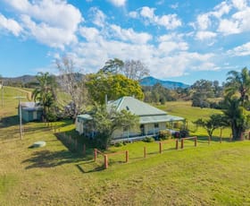 Rural / Farming commercial property for sale at 449 Hickeys Creek Road Millbank NSW 2440