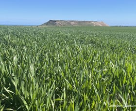 Rural / Farming commercial property for sale at Lot 112 Jackson Road Bowes WA 6535