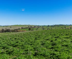 Rural / Farming commercial property for sale at 670 Leahy Road Harefield NSW 2650