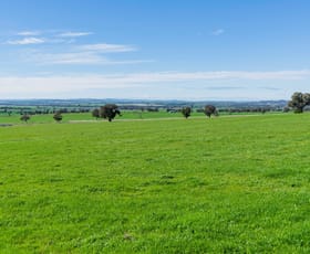 Rural / Farming commercial property for sale at 945 The Gap Road Wagga Wagga NSW 2650