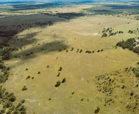 Rural / Farming commercial property for sale at 780 Olinda Rd Kokotungo QLD 4702