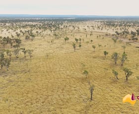 Rural / Farming commercial property for sale at Basalt QLD 4820
