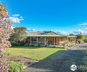Rural / Farming commercial property for sale at Spooners Avenue Collombatti NSW 2440