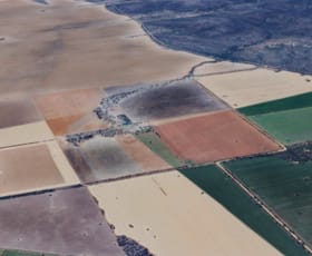 Rural / Farming commercial property sold at "Pinefields" 351 Mount Bingar Road Myall Park NSW 2681