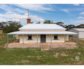 Rural / Farming commercial property for sale at 17 Bundilla Road Cambrai SA 5353