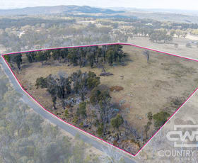 Rural / Farming commercial property for sale at 29, 41 Gilligans Lane Torrington NSW 2371