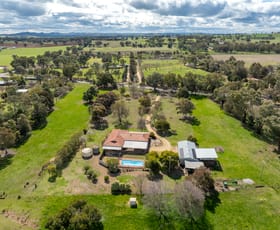 Rural / Farming commercial property for sale at 520 Darbys Falls Road Cowra NSW 2794