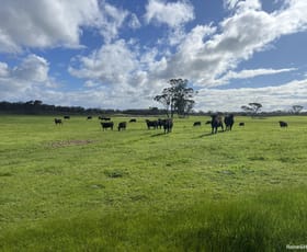 Rural / Farming commercial property for sale at 528 Lake Warburton Road Palmdale WA 6328