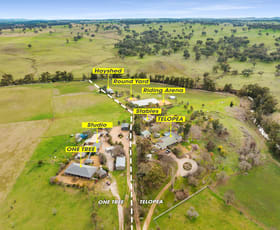 Rural / Farming commercial property for sale at 2970 & 2972 Mitchell Highway Molong NSW 2866