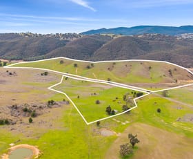Rural / Farming commercial property for sale at 245 Caves Road Wee Jasper NSW 2582