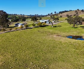 Rural / Farming commercial property for sale at 84 Wallanbah Road Gloucester NSW 2422