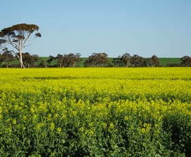 Rural / Farming commercial property for sale at 1103 Bullaring - Gorge Rock Road Bullaring WA 6373