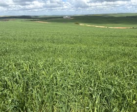 Rural / Farming commercial property for sale at 800 East Bowes Road Naraling WA 6532