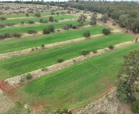 Rural / Farming commercial property for sale at 34 Bellottis Road Oakdale QLD 4605