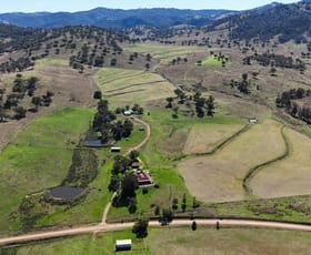 Rural / Farming commercial property for sale at 2991 Halls Creek Road Halls Creek NSW 2346