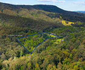 Rural / Farming commercial property for sale at 229 Moylans Road Dungog NSW 2420