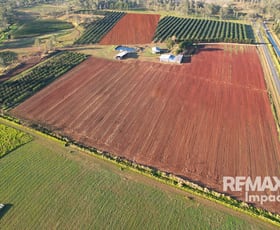 Rural / Farming commercial property for sale at 130 Channel Road Walkamin QLD 4872