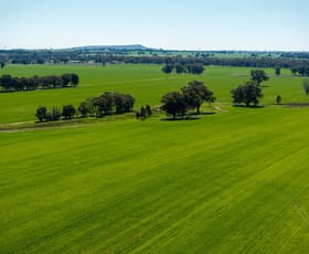 Rural / Farming commercial property for sale at 120 Erinvale Lane Milbrulong NSW 2656