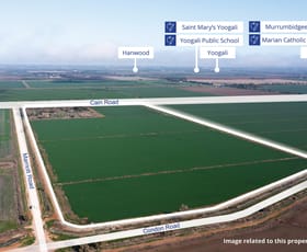 Rural / Farming commercial property for sale at Lot 1 Farm 360 Bilbul NSW 2680