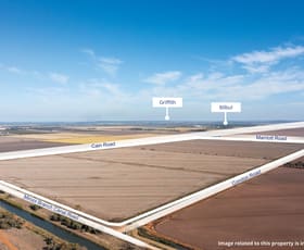 Rural / Farming commercial property for sale at Farm 360 Condon Rd Bilbul NSW 2680