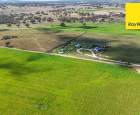 Rural / Farming commercial property for sale at 154 Delungra Bypass Road Inverell NSW 2360