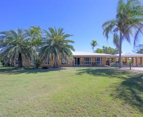 Rural / Farming commercial property for sale at 41 Roffey Road Calliope QLD 4680