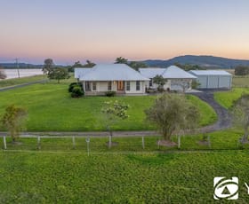 Rural / Farming commercial property for sale at 192 Old Ferry Road Ashby NSW 2463