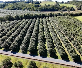 Rural / Farming commercial property for sale at 389 Teven Road Teven NSW 2478
