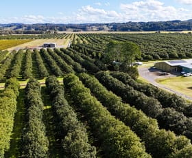 Rural / Farming commercial property for sale at 389 Teven Road Teven NSW 2478