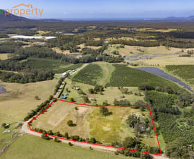 Rural / Farming commercial property for sale at 481 South Bank Road Tamban NSW 2441