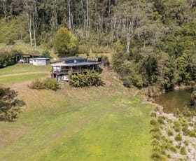 Rural / Farming commercial property for sale at 2686 Kalang Rd Bellingen NSW 2454