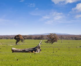 Rural / Farming commercial property for sale at Lots 4D, 48A, 48B & Murphys & Knowsley - Barnadown Road Knowsley VIC 3523