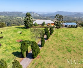 Rural / Farming commercial property for sale at 105 Maleny Kenilworth Road Maleny QLD 4552