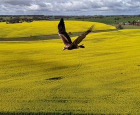 Rural / Farming commercial property for sale at Kallaroo, 861 Old Geraldton Road Berkshire Valley WA 6510