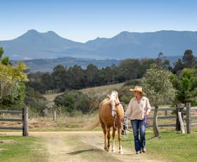 Rural / Farming commercial property for sale at 1 Grunou Road Milford QLD 4310