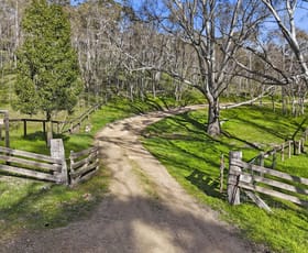 Rural / Farming commercial property for sale at 24 Treutler Road Gemmells SA 5255