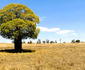 Rural / Farming commercial property for sale at 'Bendoba' 1933 Kooragan Road Injune QLD 4454