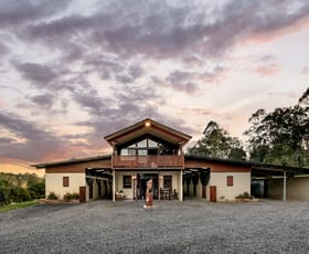 Rural / Farming commercial property for sale at 142 Armstrong Road Biddaddaba QLD 4275