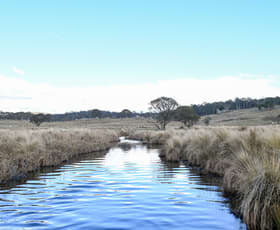 Rural / Farming commercial property for sale at "Moles Station" 248 Hains Road Kybeyan NSW 2631