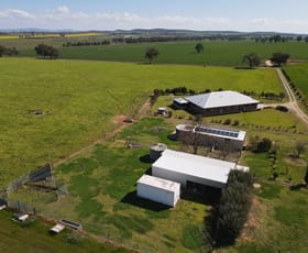 Rural / Farming commercial property for sale at 56 Leneva Lane Canowindra NSW 2804