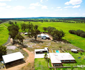 Rural / Farming commercial property for sale at 1298 Brand Highway Chittering WA 6084
