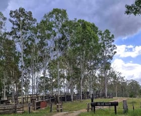 Rural / Farming commercial property for sale at 264 Thompson A Road Woocoo QLD 4620