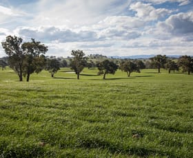 Rural / Farming commercial property for sale at Burnt Yards Road Mandurama NSW 2792